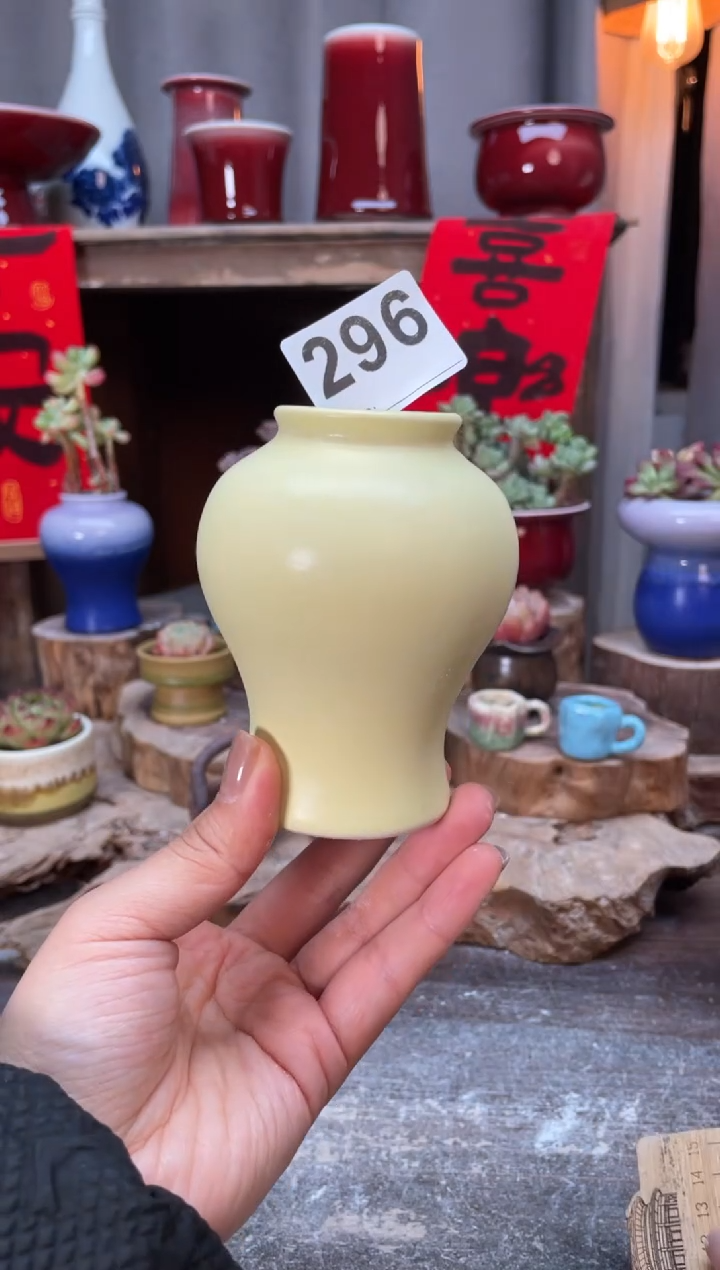 【闪购商品】摆件296知木小芳花盆