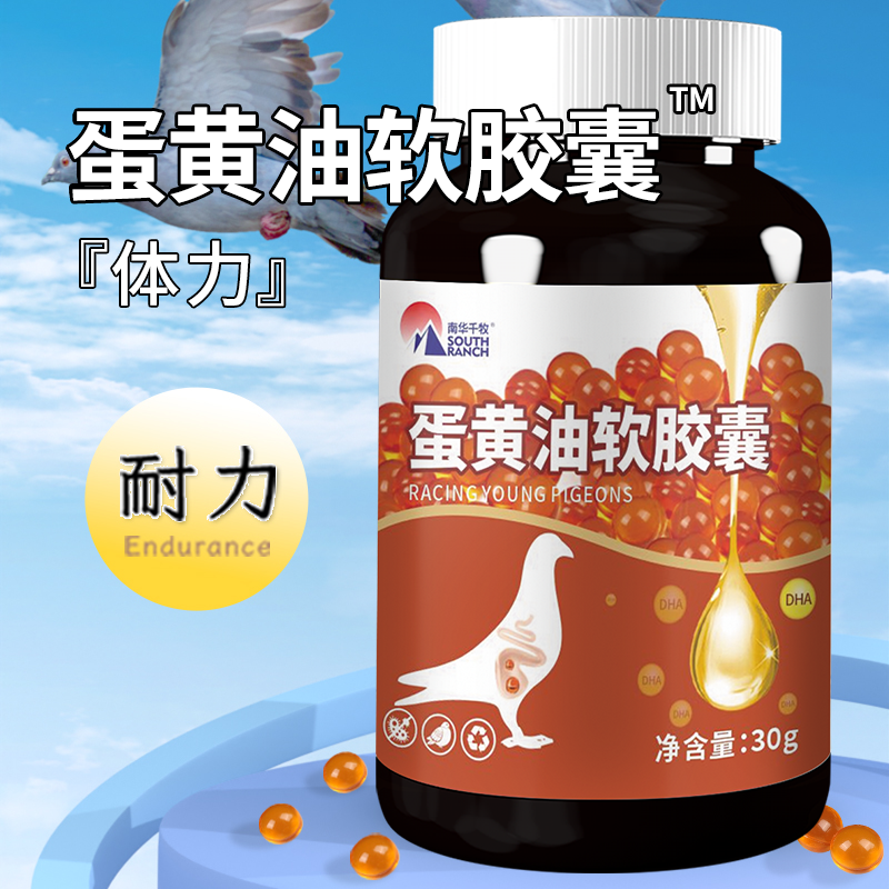 卵黄油胶囊鸽用调理保健营养赛鸽信鸽鸽信赛鸽子用蛋黄油