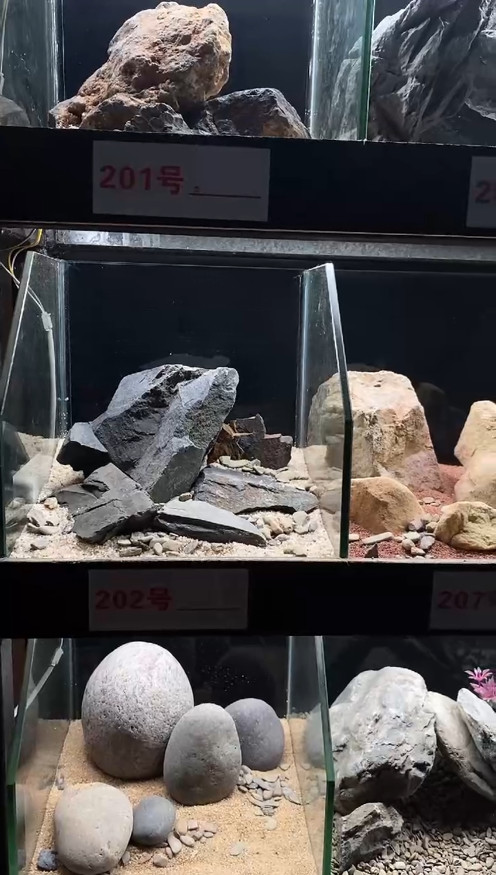 202号鱼缸造景（不含底砂）
