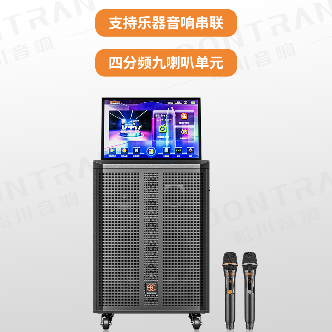 松川国际SY2-15视频户外K歌音响