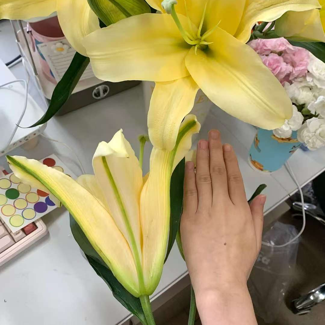 云南皇帝百合香水百合新鲜花卉浓香大花苞