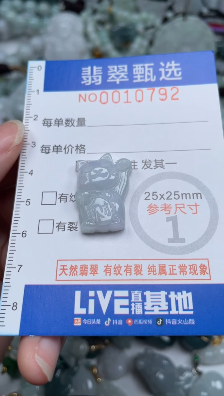 颈饰未镶嵌翡翠10792