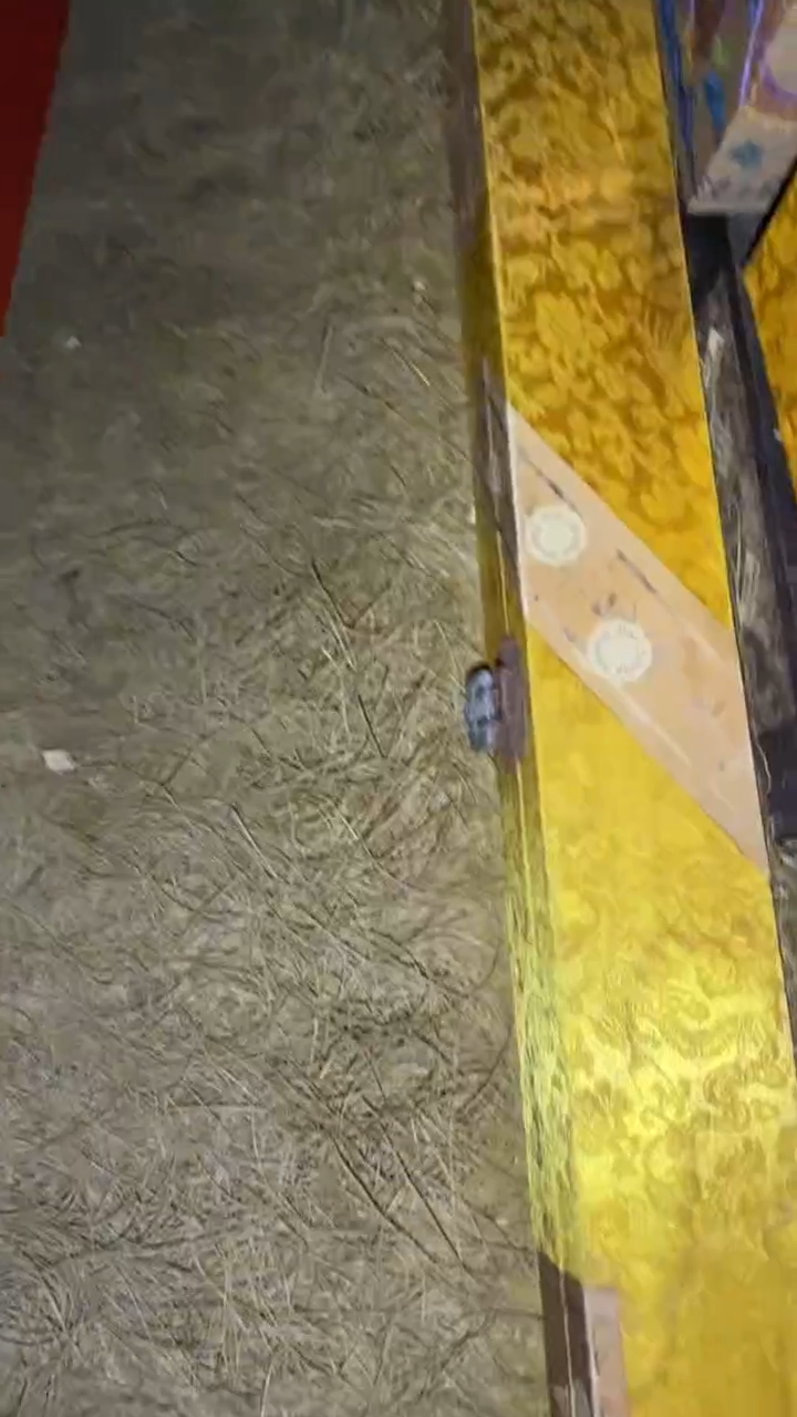 香榧木一一一一一一一一福利