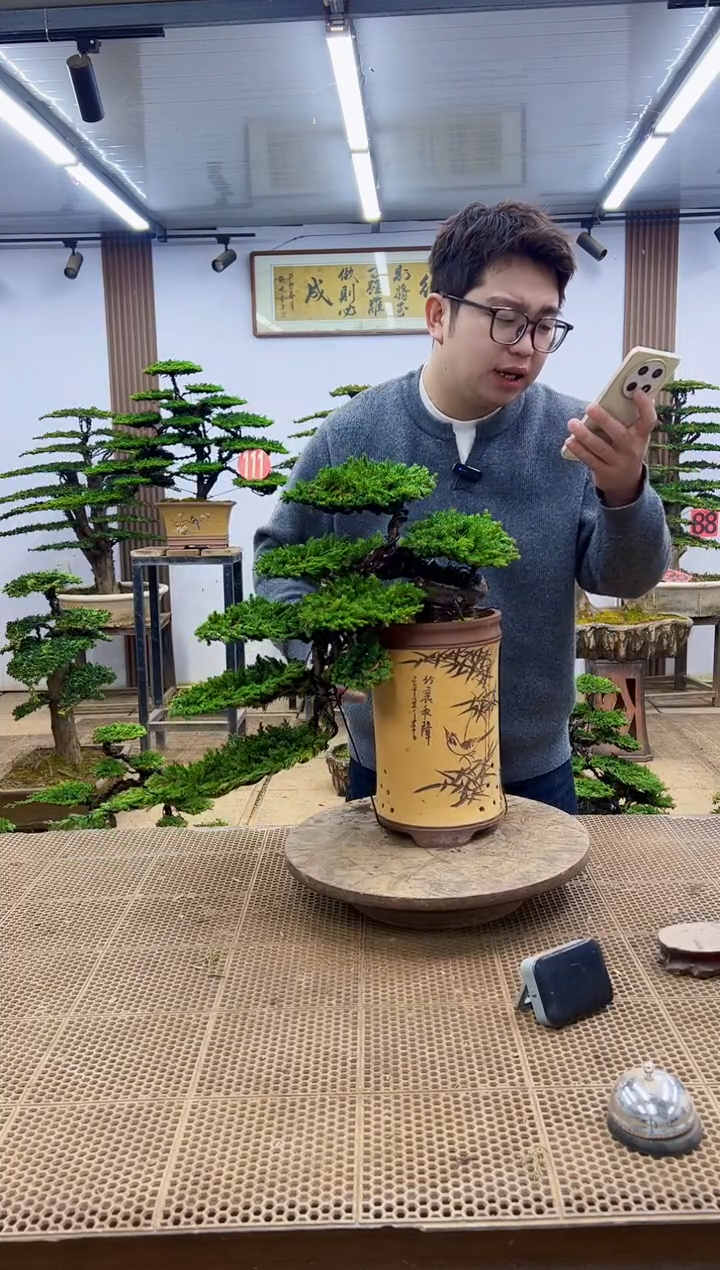 无花朵0000000000000