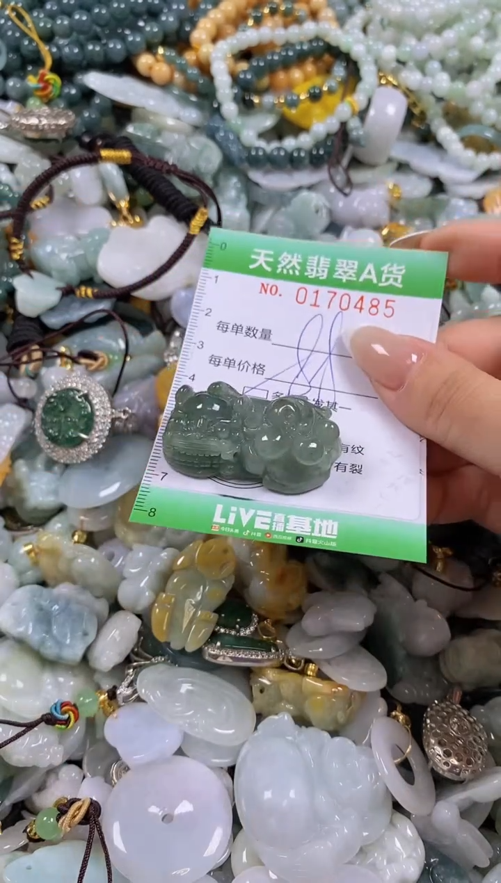 翡翠未镶嵌颈饰闪购0170485多样性发其一