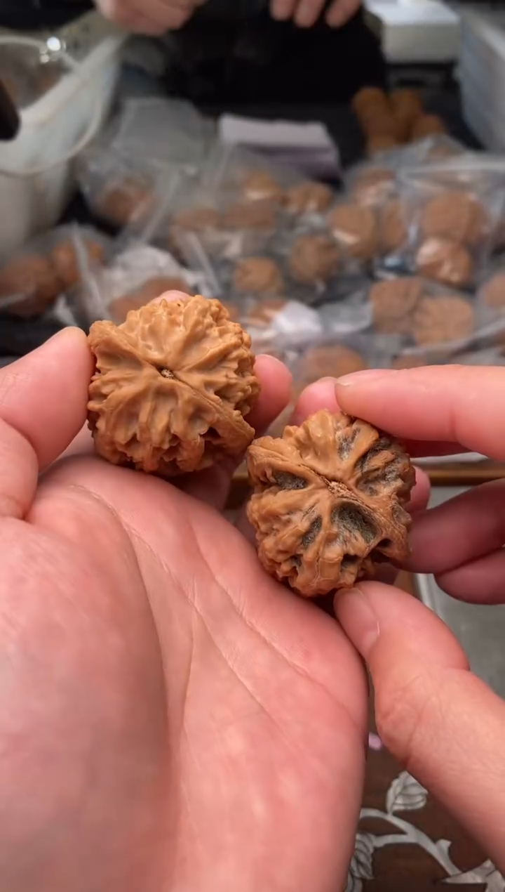 【闪购商品】文玩核桃把件G12号40尺大沽石