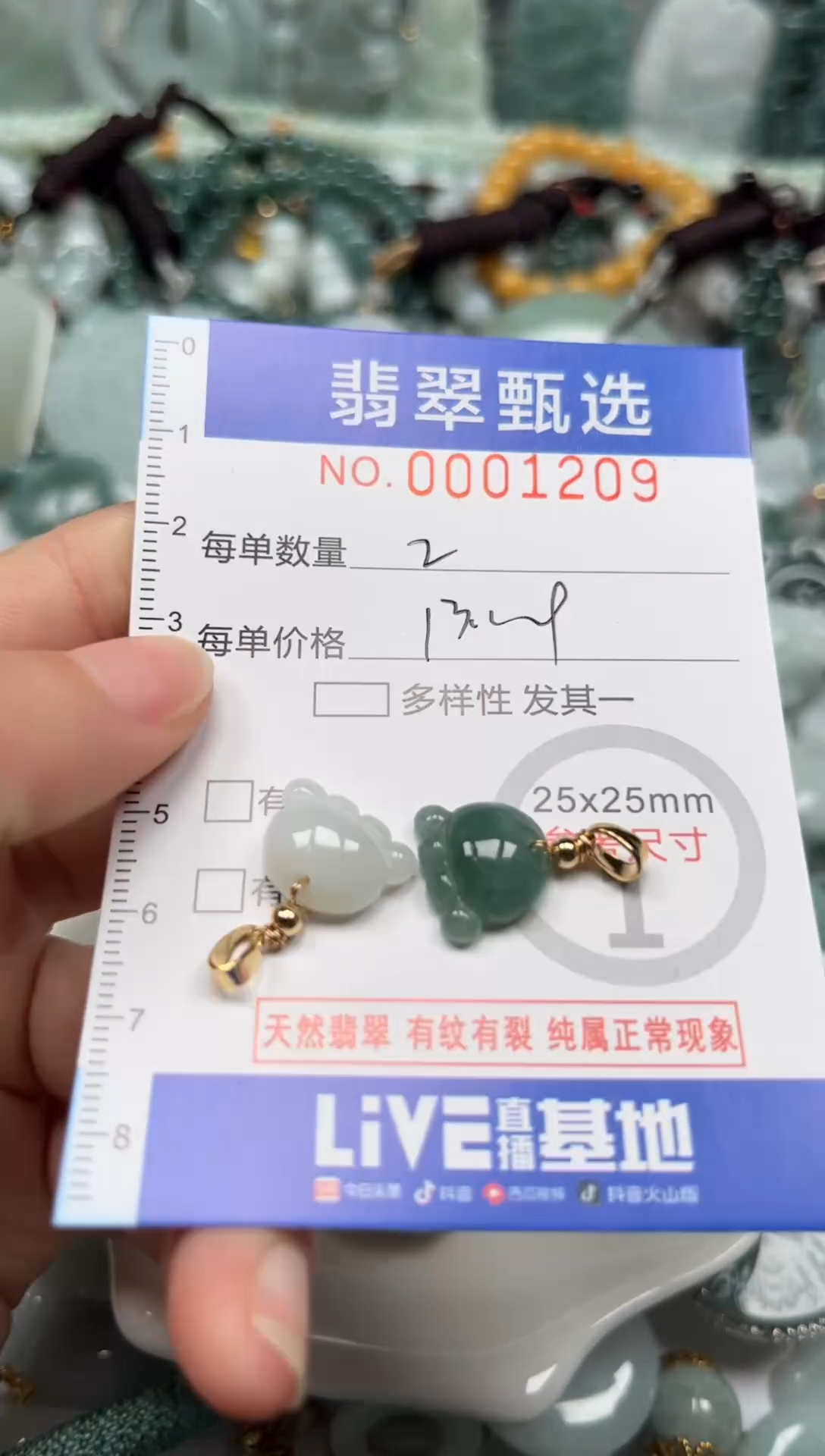 【闪购商品】翡翠颈饰未镶嵌00..1209