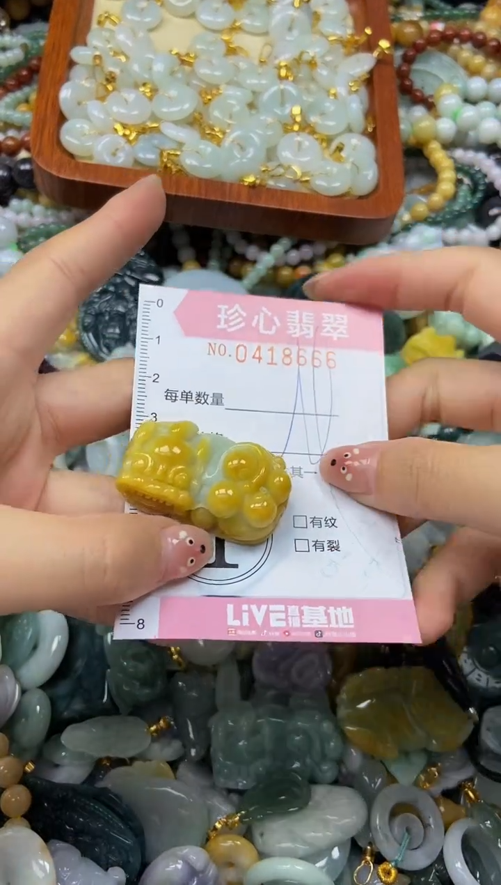 颈饰未镶嵌翡翠闪购0418666