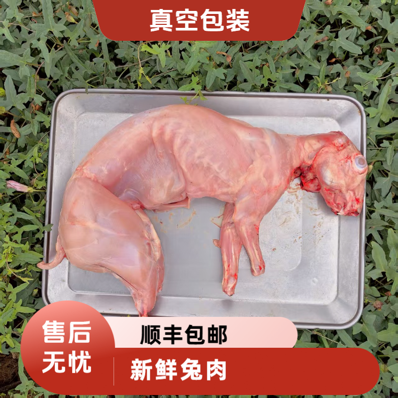 新鲜兔肉肉质鲜嫩整只现杀兔子肉鲜兔肉真空包装食用速冻发货生鲜