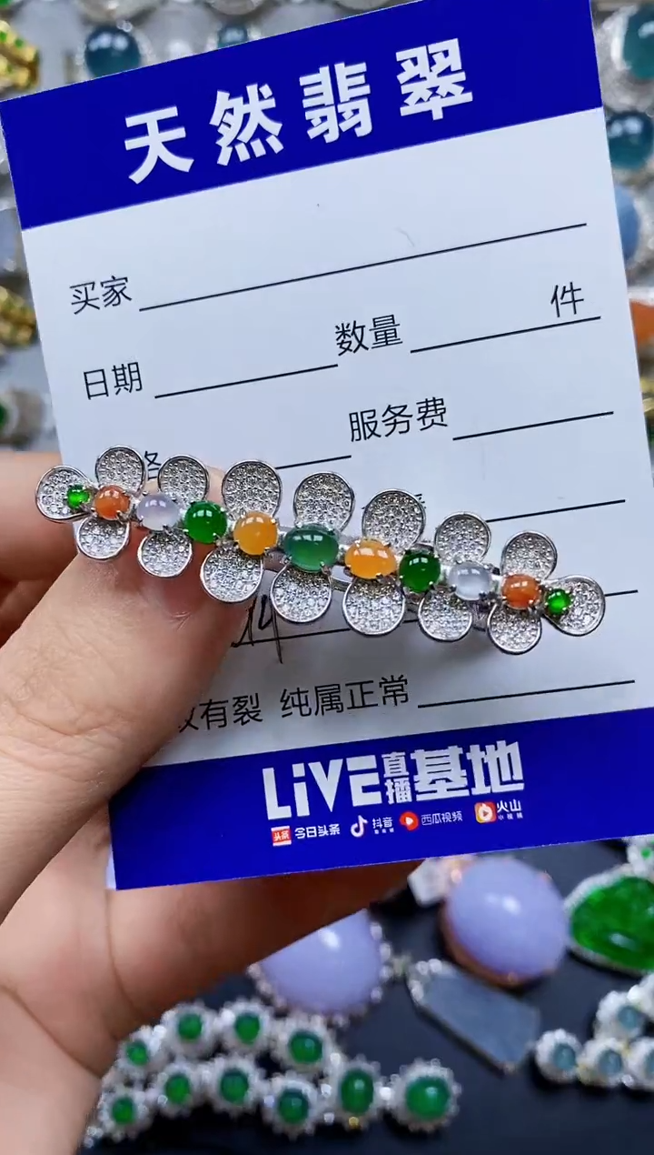 【闪购商品】翡翠颈饰银S925镶嵌0494