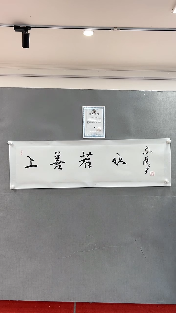 【闪购商品】书法雅艺典藏文化书法