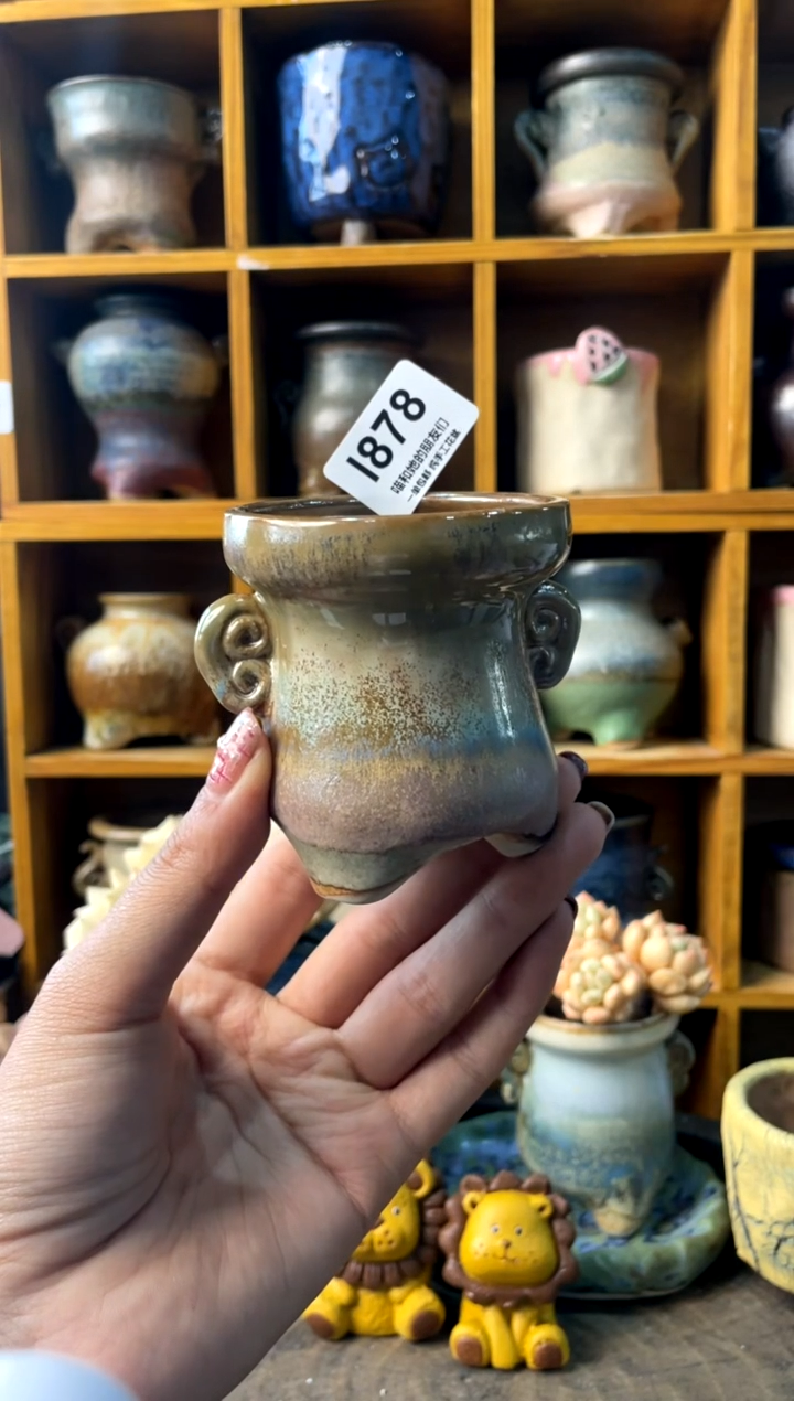 878内口5【多肉花盆多肉盆】