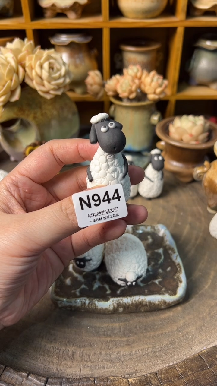 ?微瑕944【多肉花盆多肉盆】