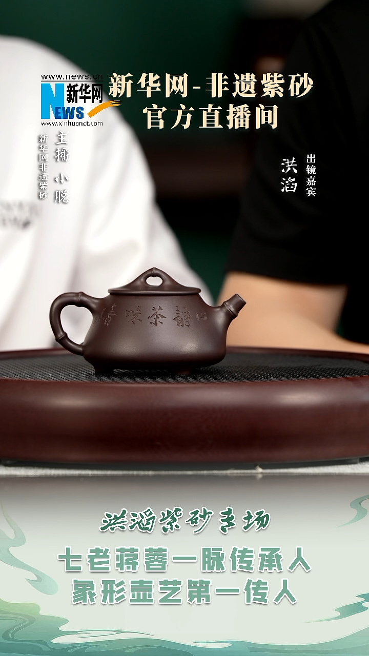 茶壶紫砂HT11 洪滔 石瓢竹紫茄泥210c