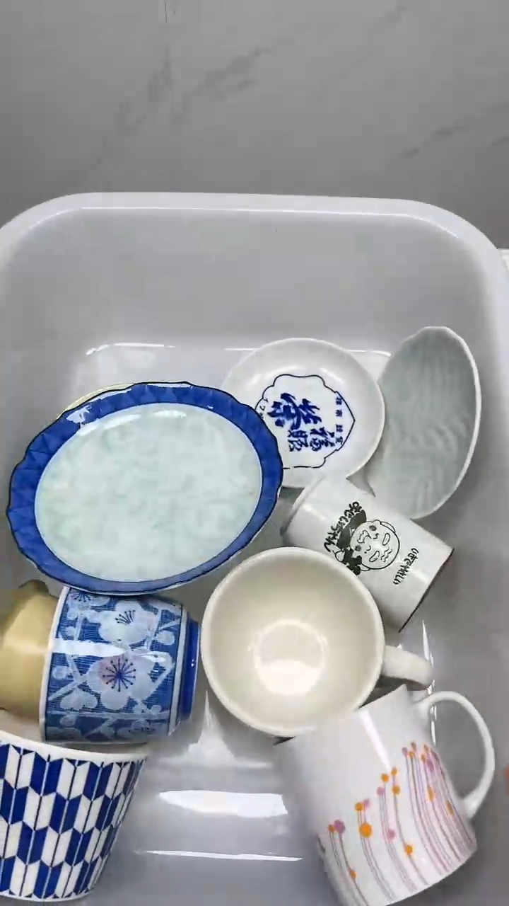 【闪购商品】5165回流瓷器默认微瑕，18.8包邮