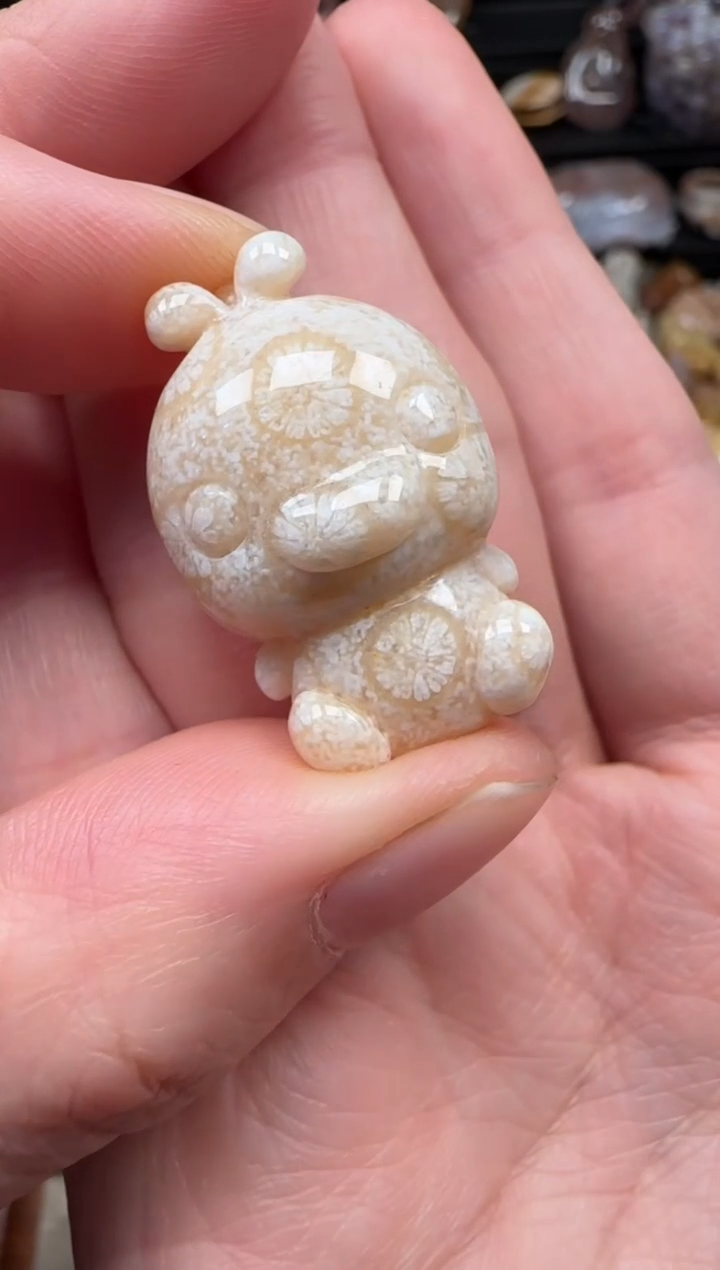 颈饰未镶嵌硅化珊瑚（珊瑚玉）616