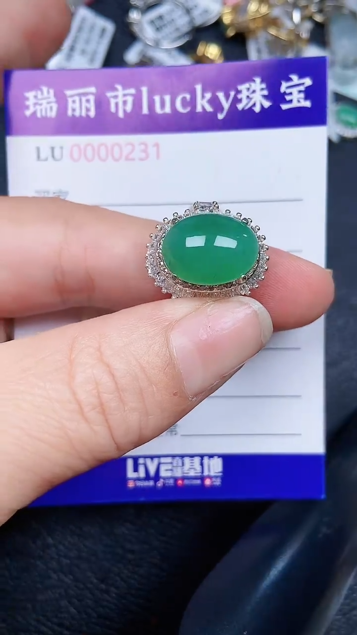 颈饰未镶嵌翡翠0231