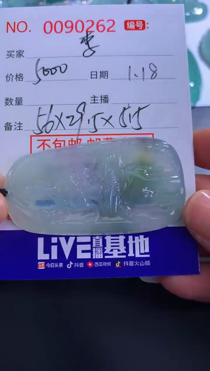【闪购商品】翡翠颈饰未镶嵌李