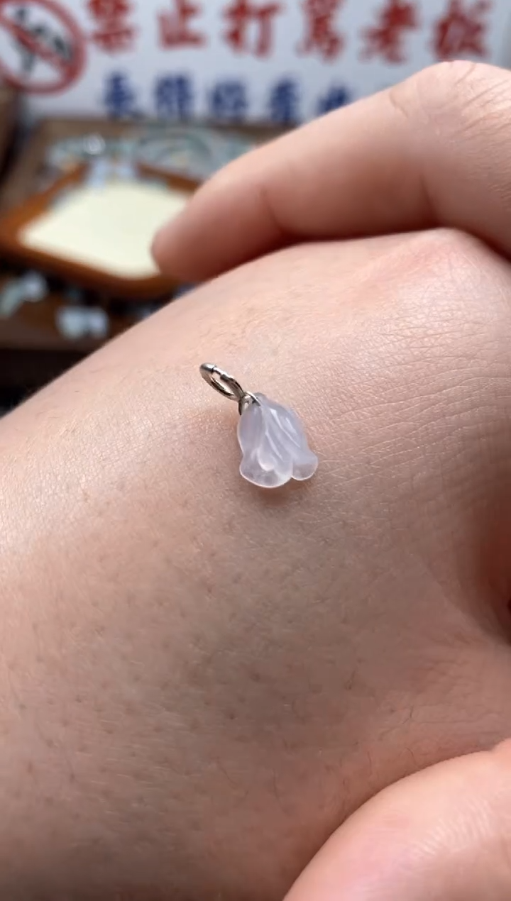 【闪购商品】翡翠颈饰未镶嵌新年快乐！