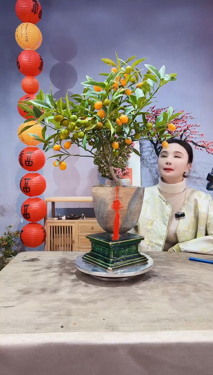 【闪购商品】盆景脆皮金桔