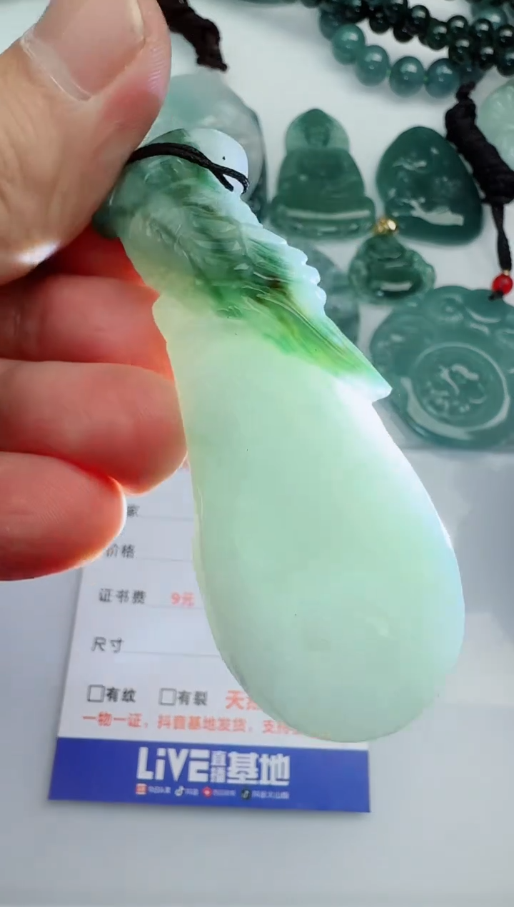 【闪购商品】翡翠颈饰未镶嵌1111111111111