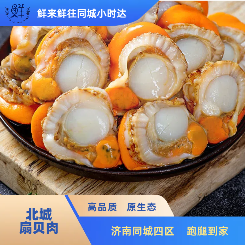 【北城】扇贝肉 1包 约500g 红贝肉21/40