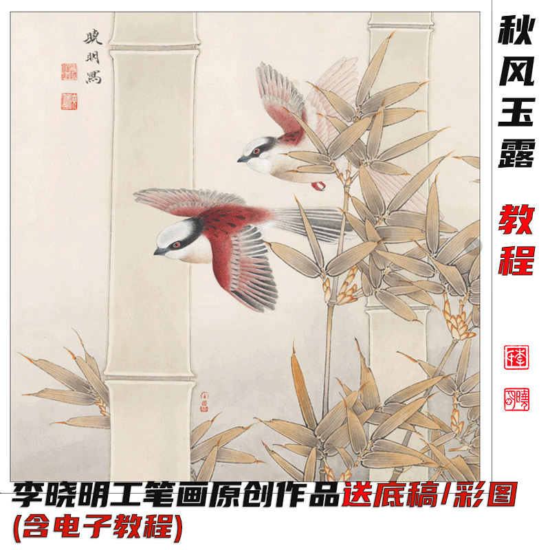 《秋风玉露》教/程 李晓明工笔画2025新画作品教/学 40*40cm