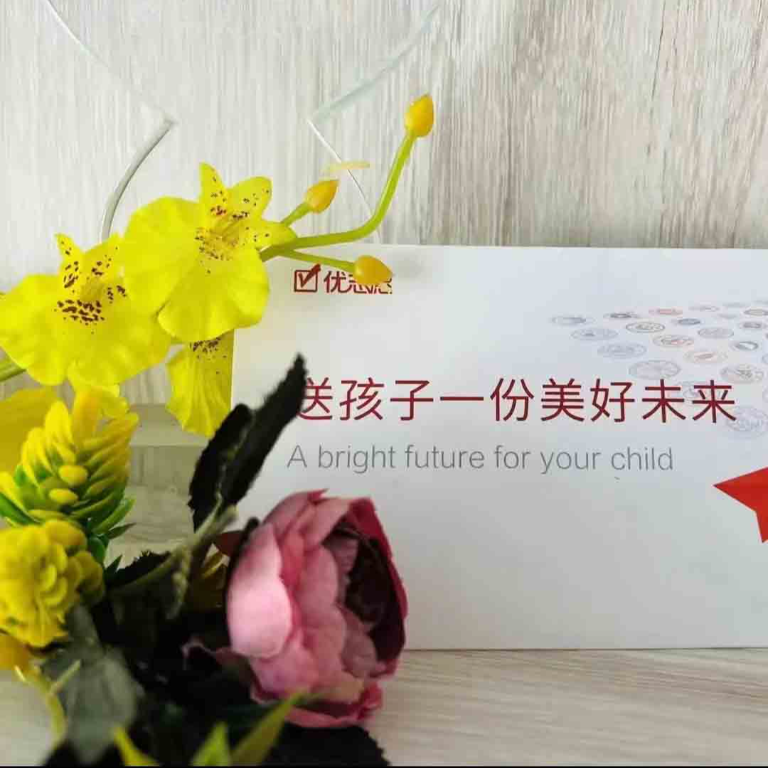 [教师同款]金榜题名给孩子一份没好未来文件袋