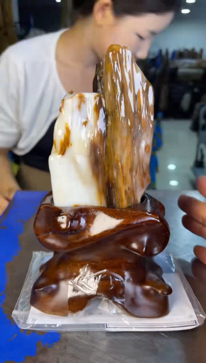 未镶嵌摆件硅化玉24