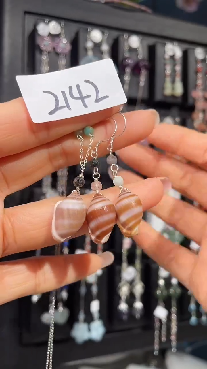 未镶嵌贝壳1喜欢拍