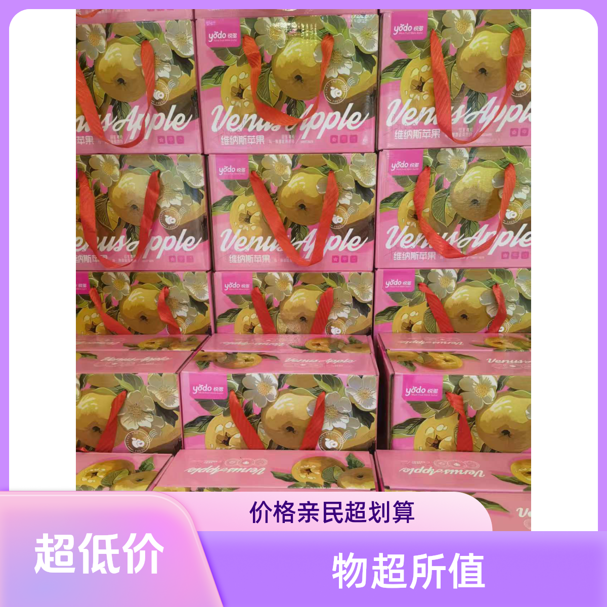 云南黄金维纳斯苹果 4斤云南省