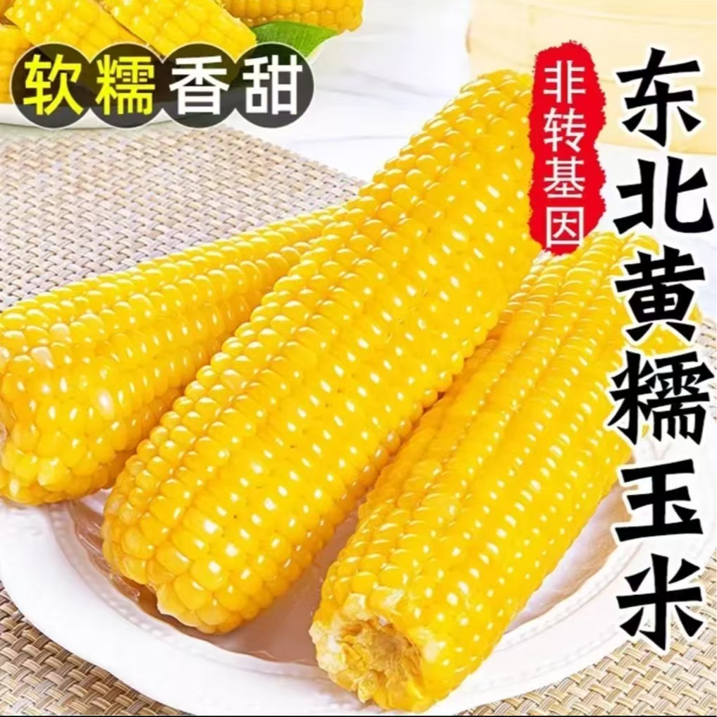 【试吃2根】头茬东北黄糯玉米10根整箱5斤单根长12-14厘米彩袋包装