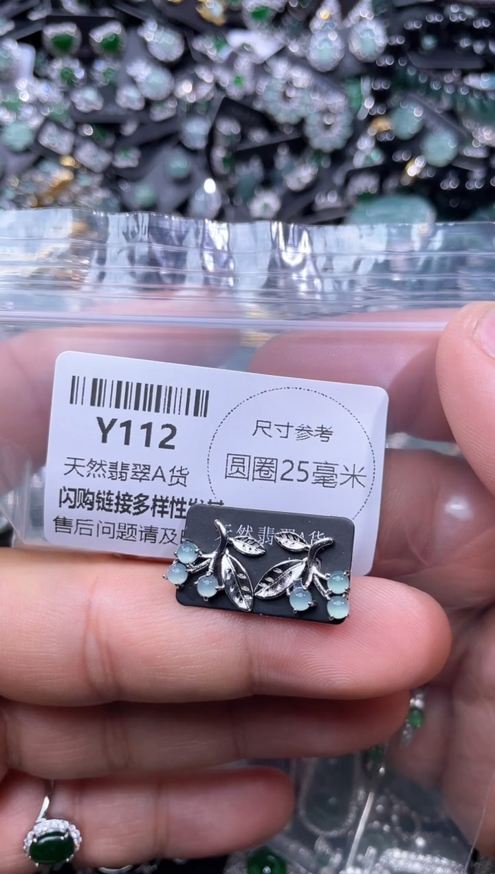 【闪购商品】翡翠颈饰未镶嵌Y112耳钉