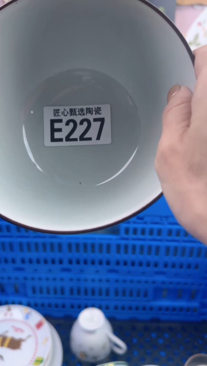 瓷片用****3      E227