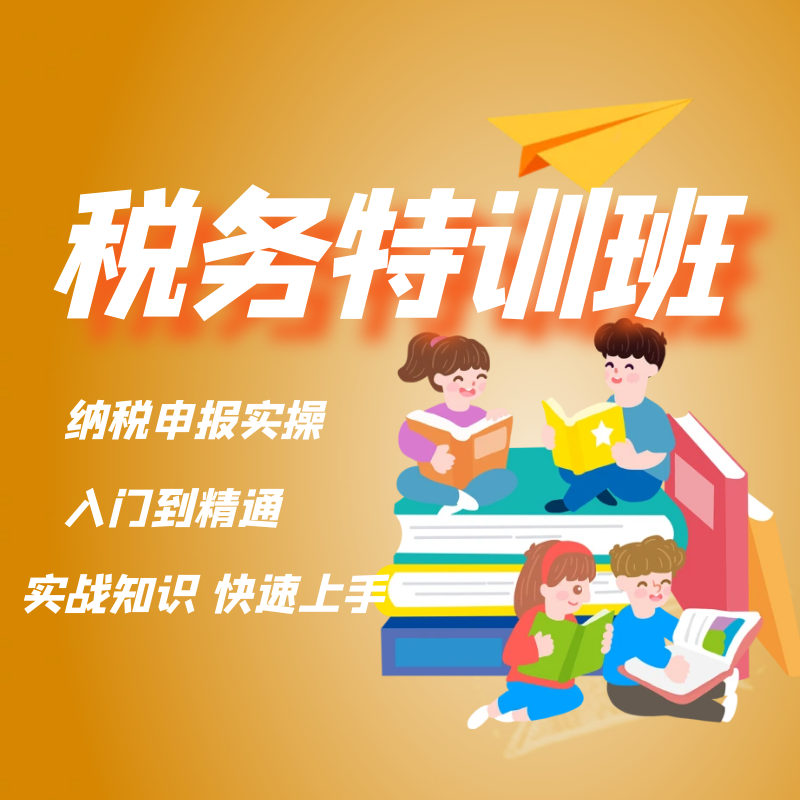 【精选】会计税务实操特训班