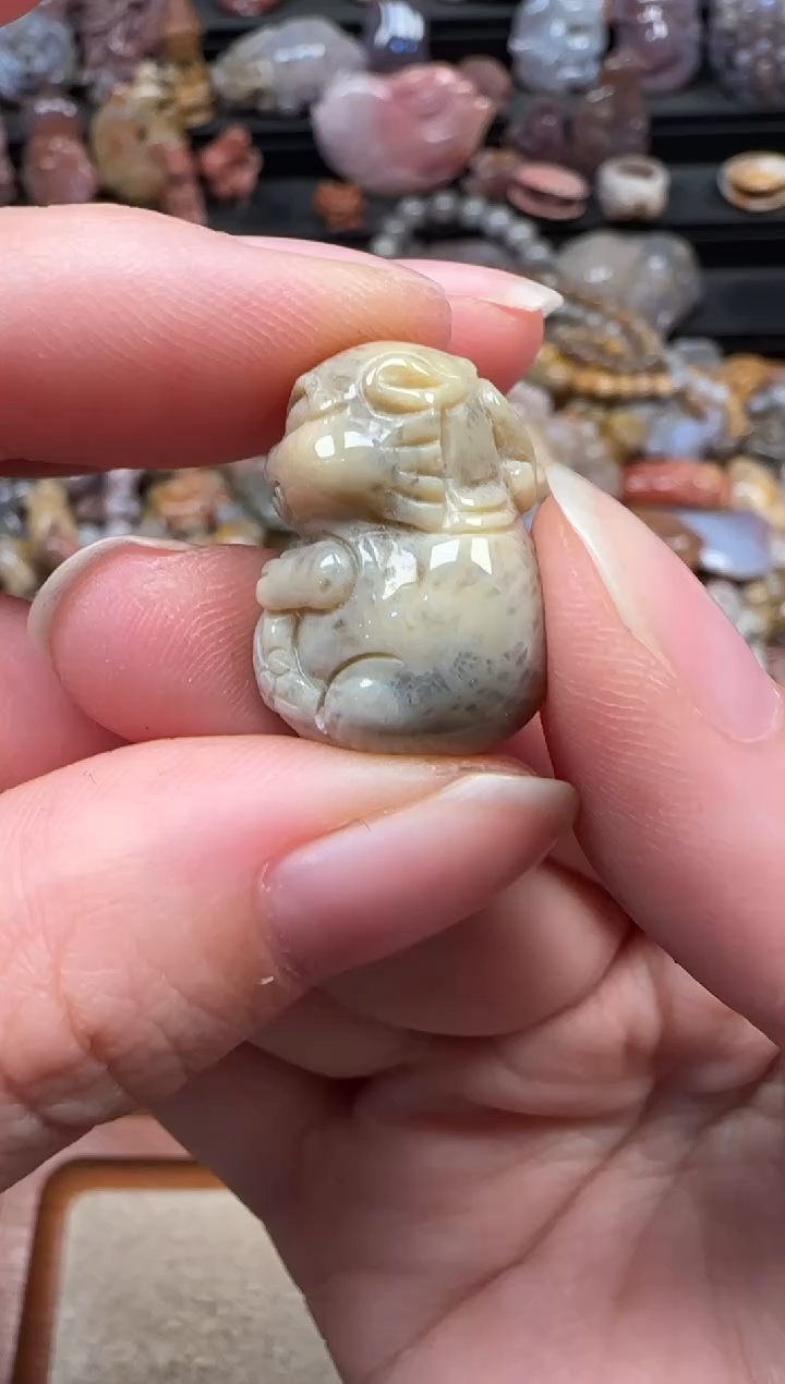 颈饰未镶嵌硅化珊瑚（珊瑚玉）025