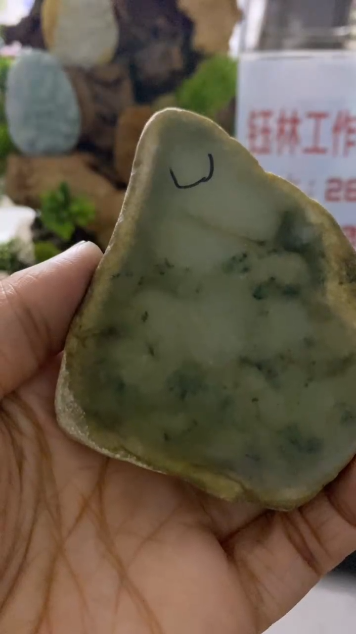 【闪购商品】定制翡翠未镶嵌料子钱