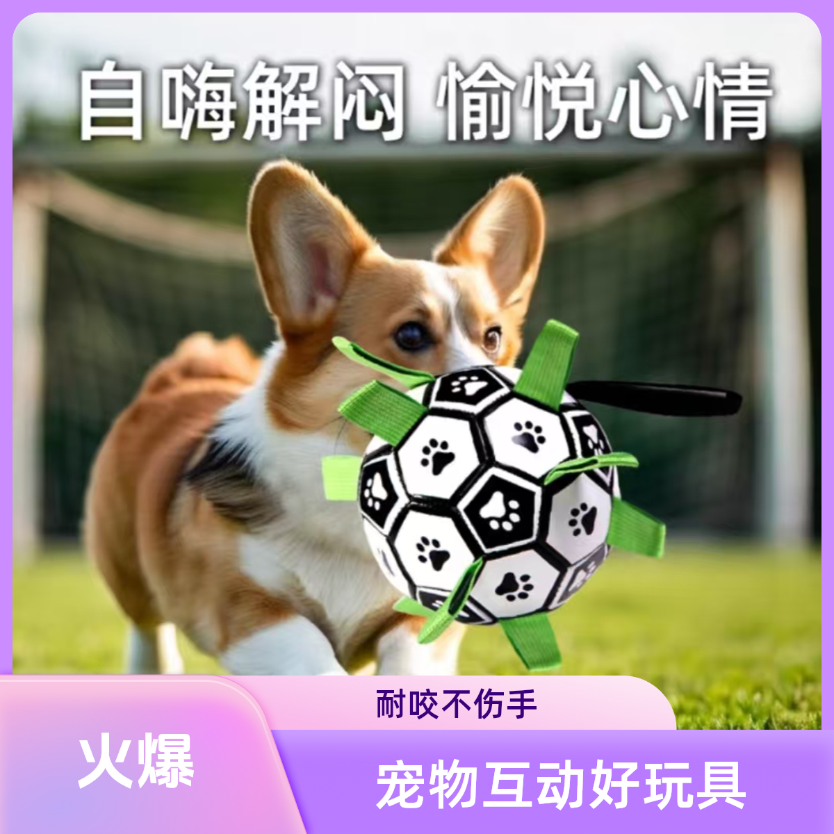 宠物玩具狗狗足球耐咬训练互动大中型犬户外带绳狗狗解闷玩具球