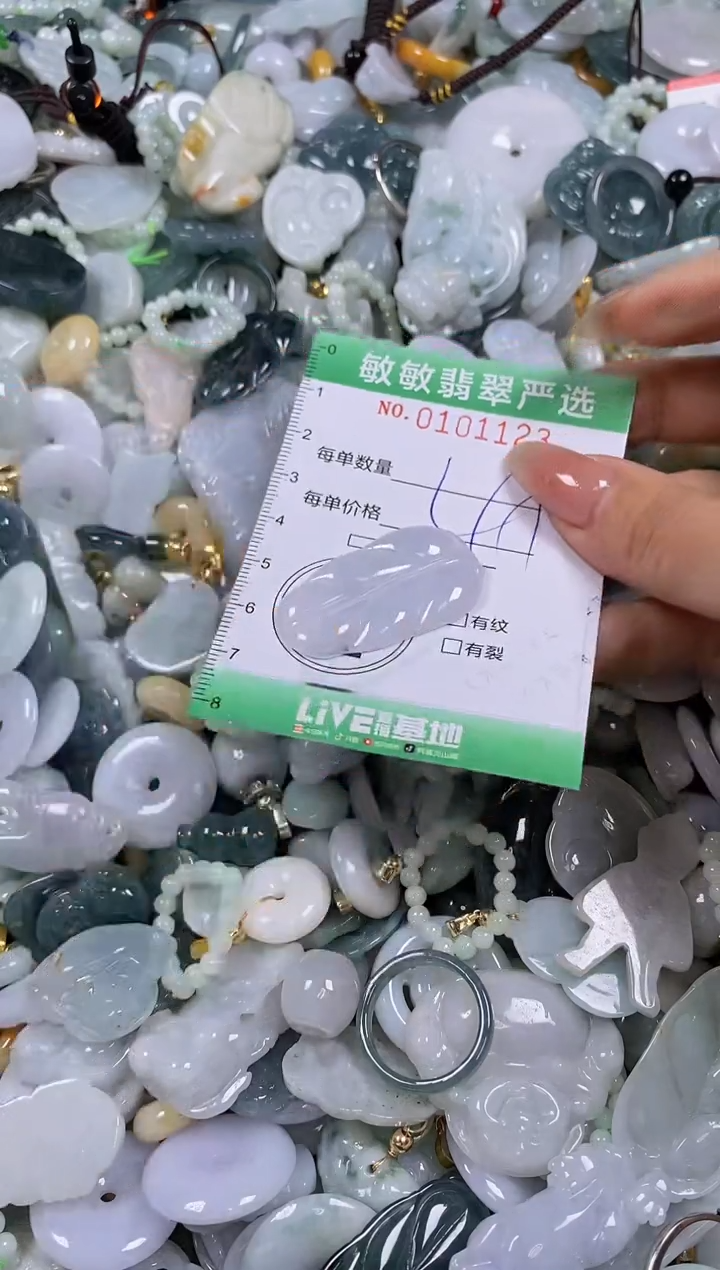 【闪购商品】翡翠颈饰未镶嵌闪购0101123