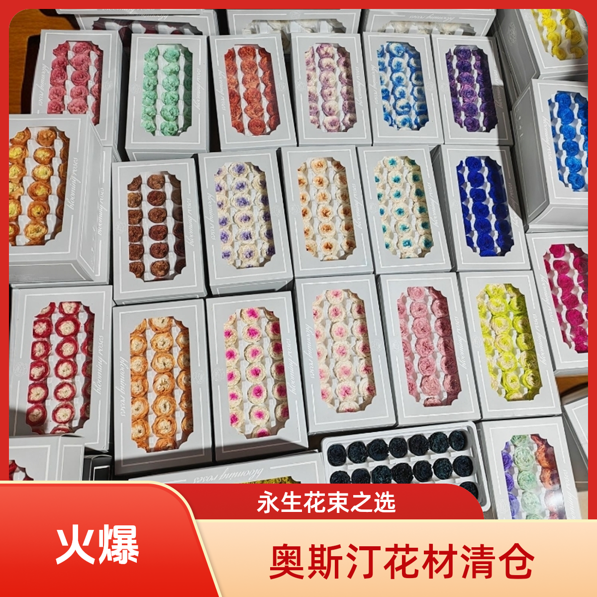 永生花奥斯汀6朵8朵10朵21朵DIY材料清仓【看图弗洛伊德玫瑰永生花