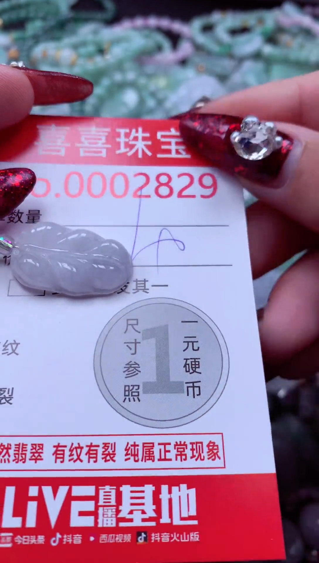 颈饰未镶嵌翡翠2829