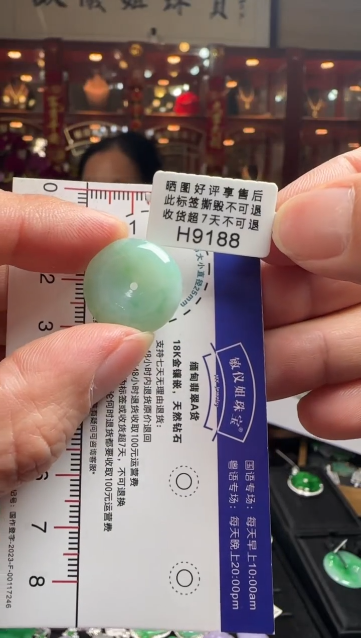 【闪购商品】翡翠颈饰未镶嵌H9188 平安扣