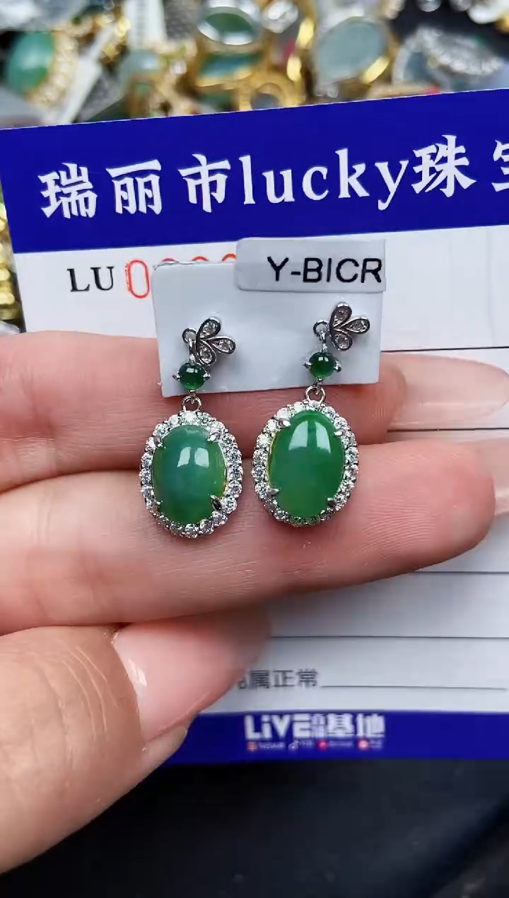 【闪购商品】翡翠颈饰银S925镶嵌9159