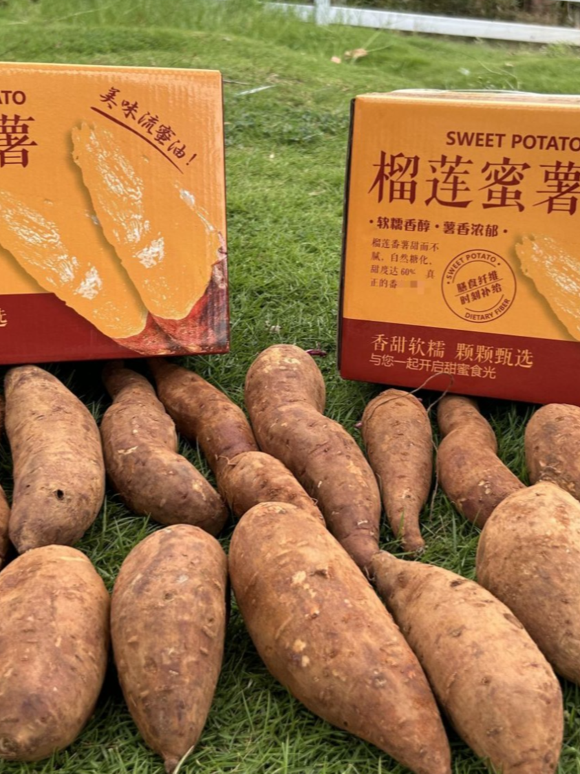 【正宗榴莲蜜薯】鸡蛋蜜薯8月新货软糯香甜农场直发玛莎莉丝滑辅食