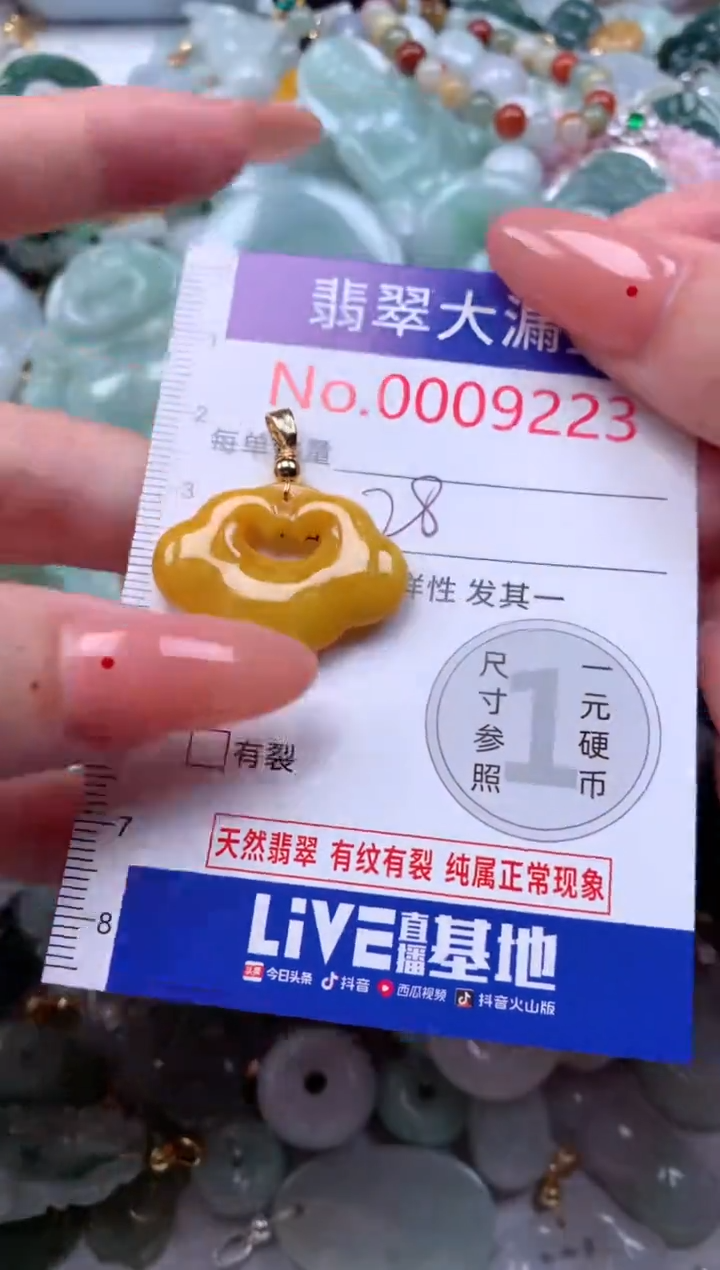 翡翠未镶嵌吊坠(不含链)9223