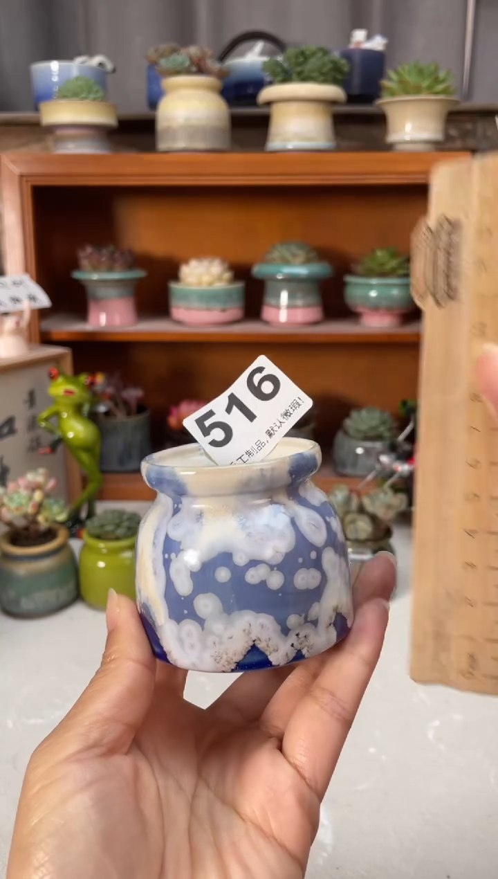 瓷片516小芳直播编号