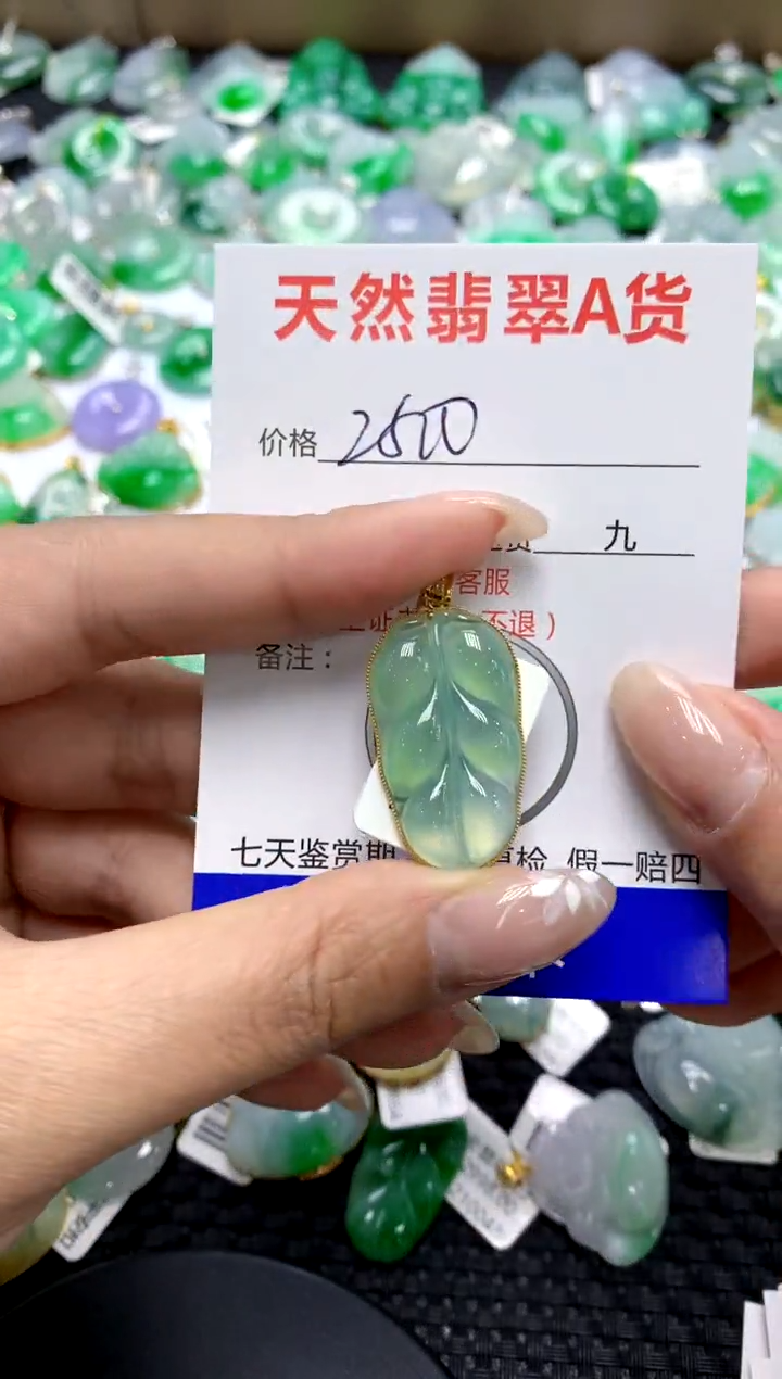 【闪购商品】翡翠颈饰18K金镶嵌111111111111