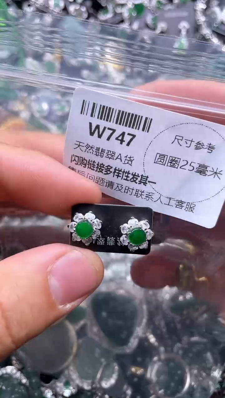 【闪购商品】翡翠颈饰未镶嵌W747耳钉