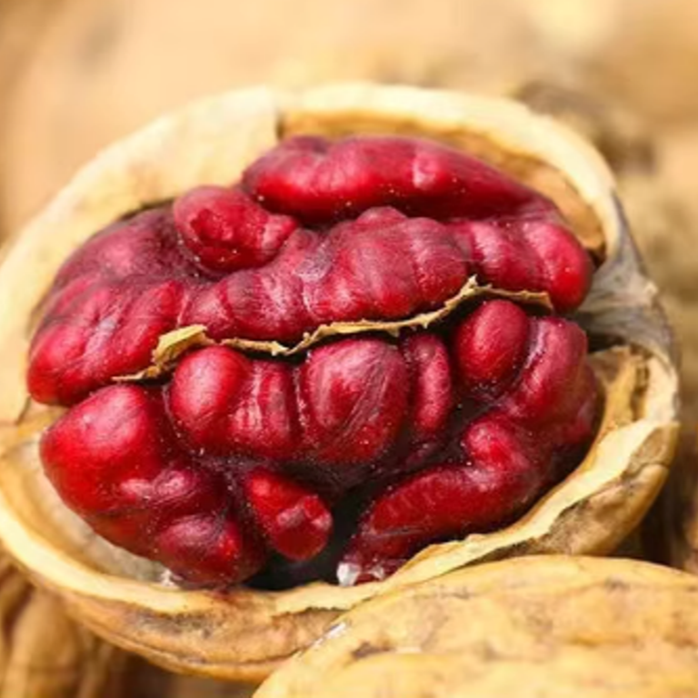 红皮核桃野生薄皮原味孕妇儿童休闲零食即食新疆发货新疆切糕
