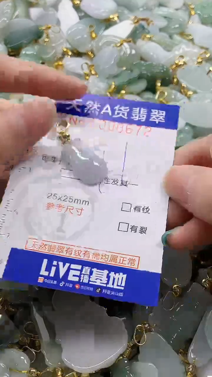 颈饰未镶嵌翡翠纯天然a货翡翠